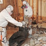 Unclutter-Your-Life-With-RestorePros-Remediation