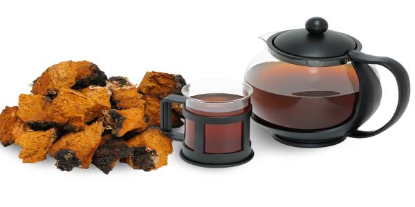 Chaga-Tea-Becoming-Popular-Among-Tea-Lovers