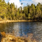 Wilderness-Treatment