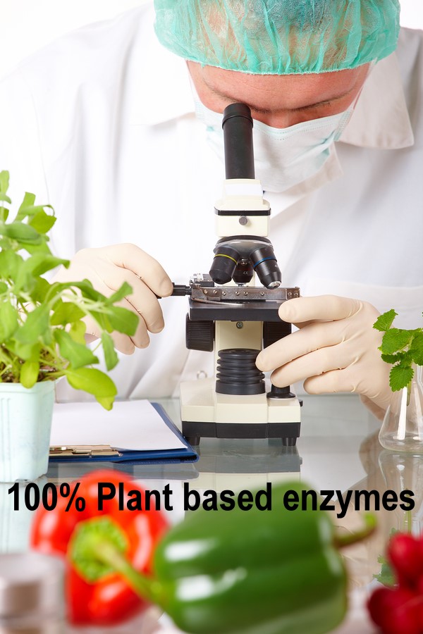 Researcher with GMO vegetable in the laboratory