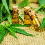 The use of Medicinal Cannabis