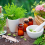 Homeopathy in Skin Problems, Allergies & Asthma