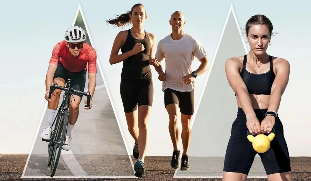 Fitness Definition Biology: Concepts, Types And Examples